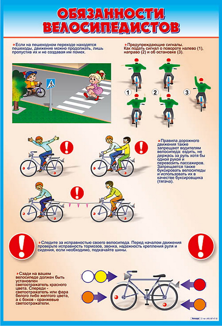 Обязанности пешеходов и велосипедистов